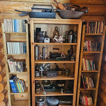 Cabana Alesia, Relaxare La Poalele Raraului Câmpulung Moldovenesc Extérieur photo