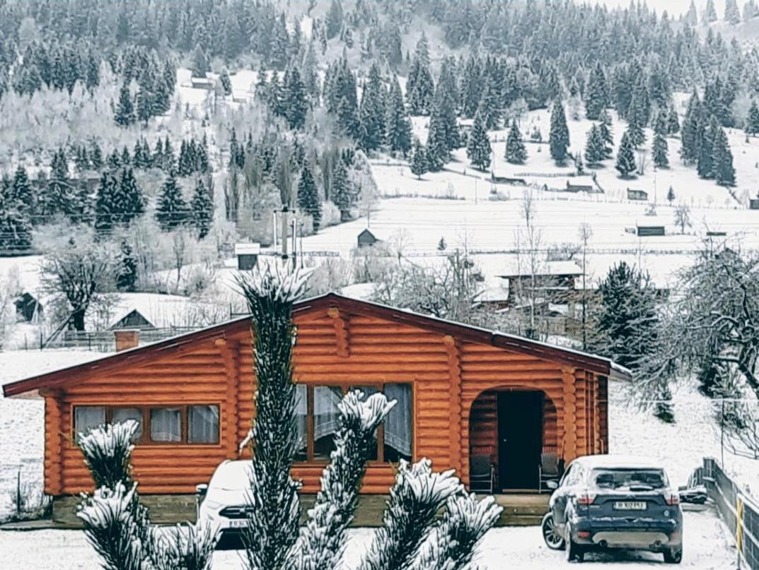 Cabana Alesia, Relaxare La Poalele Raraului Câmpulung Moldovenesc Extérieur photo