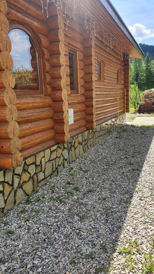 Cabana Alesia, Relaxare La Poalele Raraului Câmpulung Moldovenesc Extérieur photo