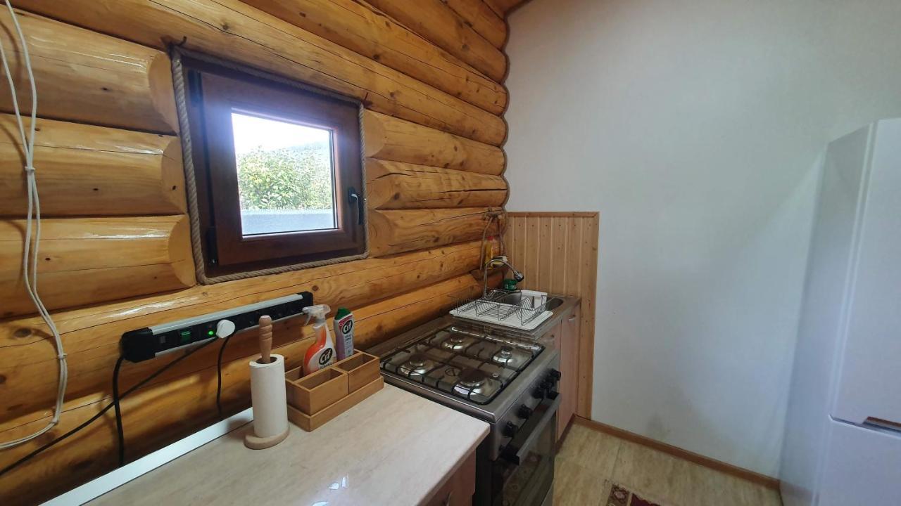 Cabana Alesia, Relaxare La Poalele Raraului Câmpulung Moldovenesc Extérieur photo