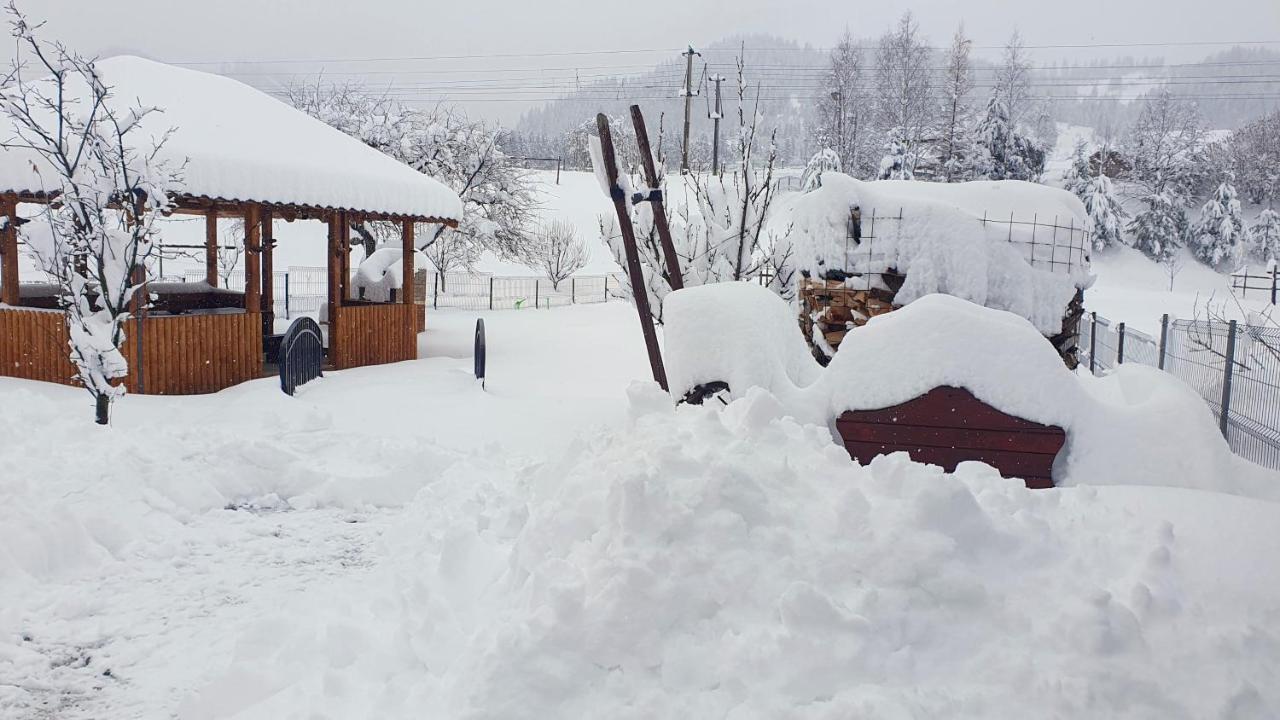 Cabana Alesia, Relaxare La Poalele Raraului Câmpulung Moldovenesc Extérieur photo