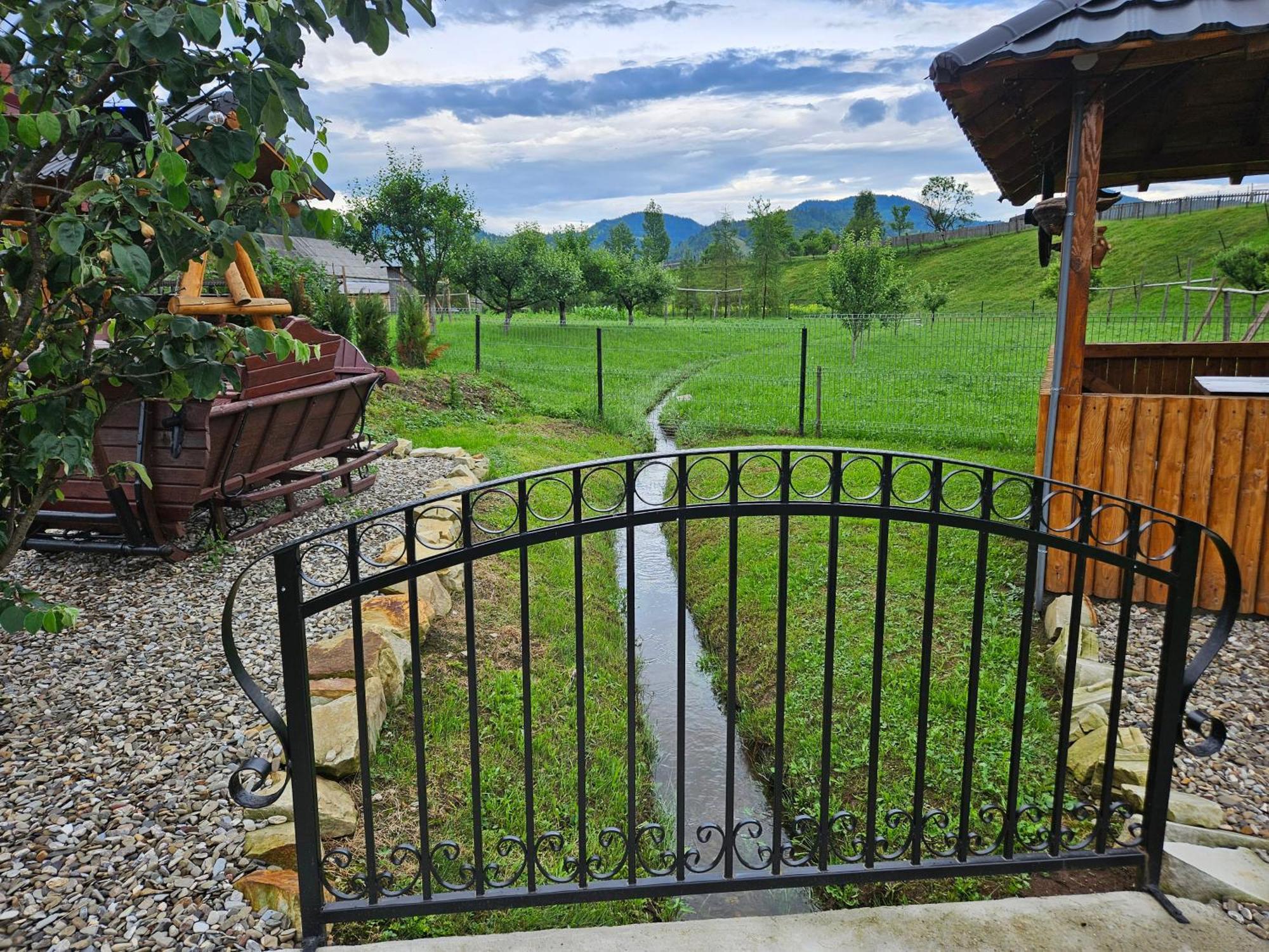 Cabana Alesia, Relaxare La Poalele Raraului Câmpulung Moldovenesc Extérieur photo
